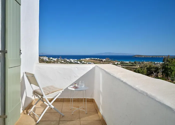 Nif With Private Swimming Pool * Chrisi Akti (Paros)