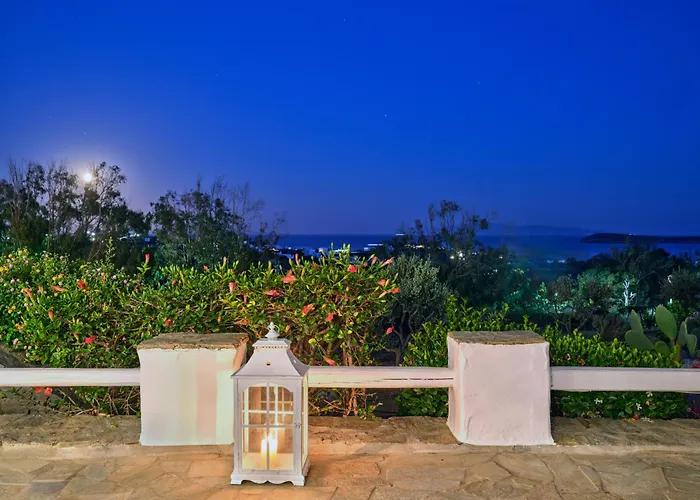 Nif With Private Swimming Pool Chrisi Akti (Paros)